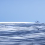 Ombres d'hiver