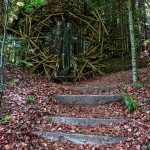 La porte de la forêt - Alain Hamdi