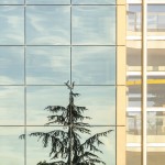 Façade vitrée à carreaux. Florence