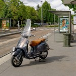 Mon Vespa GTV ailleurs. Didier R.