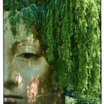Art et nature de Gilbert W.