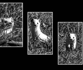 Photo de Lisa, Titre : « Je sors et j'arrive. »