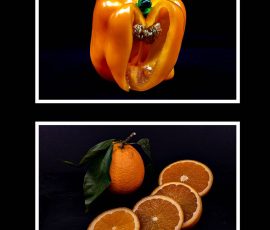 Photo de Lisa, Titre : « Orange ou orange »