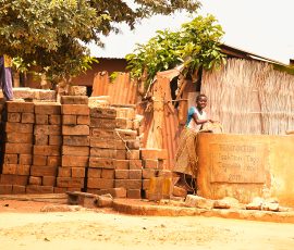 Photo de Alan, Titre : « orange, le terre du Togo »