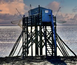 N° 05 Fin de journée sur l'île Madame