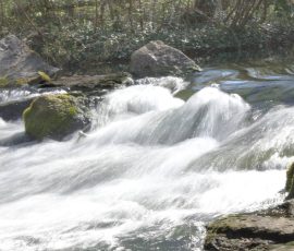 N° 02 La cascade et ses eaux cristallines