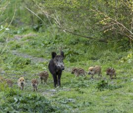 N° 4 En famille