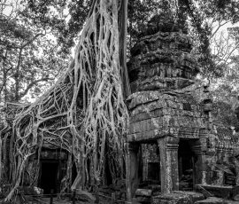 N° 03 Angkor Wat 04-2026