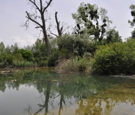 Photo de Jean-Luc