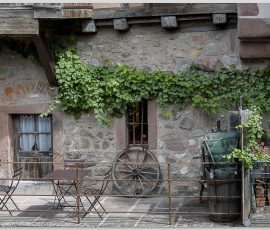 Photo de Louis