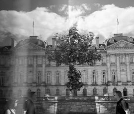 Photo de Rémi, Titre : « Promenade en ville »